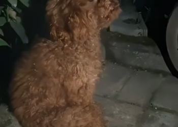 K0402024 The cold was only part of the story