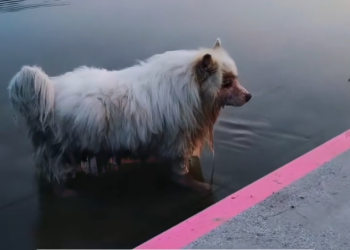 K0402023 This life was slipping through unnoticed