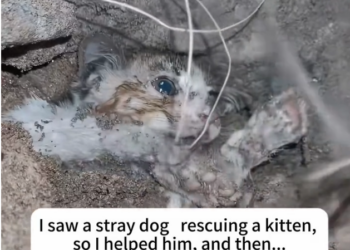 K0402022 Every breath felt uncertain