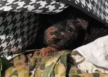 T3001090 A life shaped by neglect, not choice