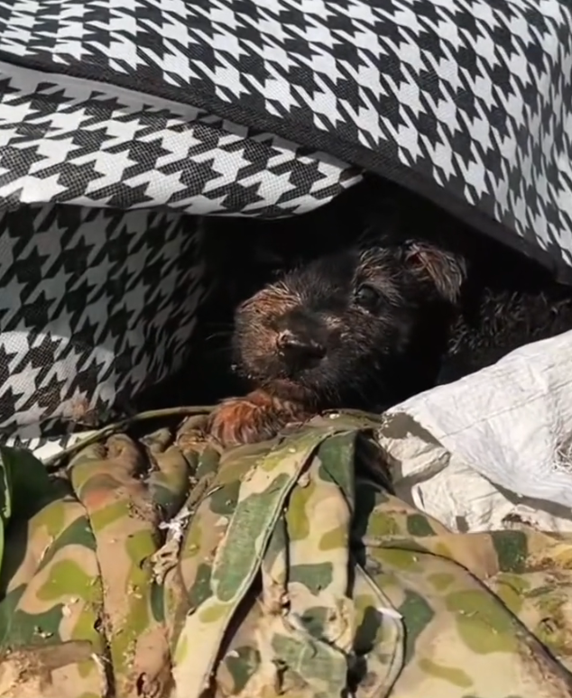 T3001090 A life shaped by neglect, not choice