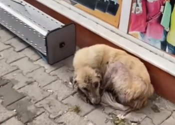 K0402014 Discovered where no life should be left