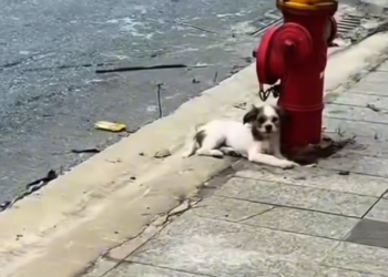 T3001089 No one heard the quiet struggle