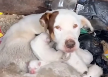 K0402134 The world felt impossibly large and cold