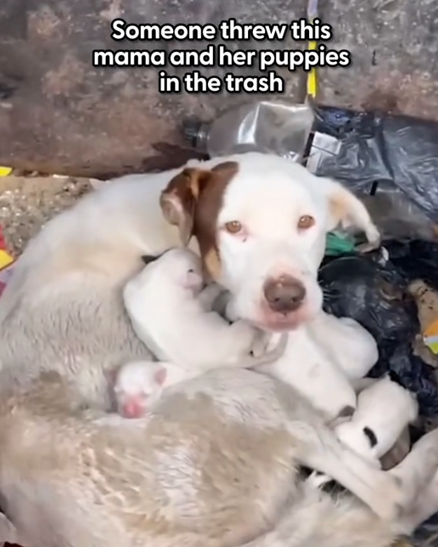 K0402134 The world felt impossibly large and cold