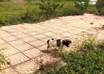 T3001087 This is what being overlooked costs