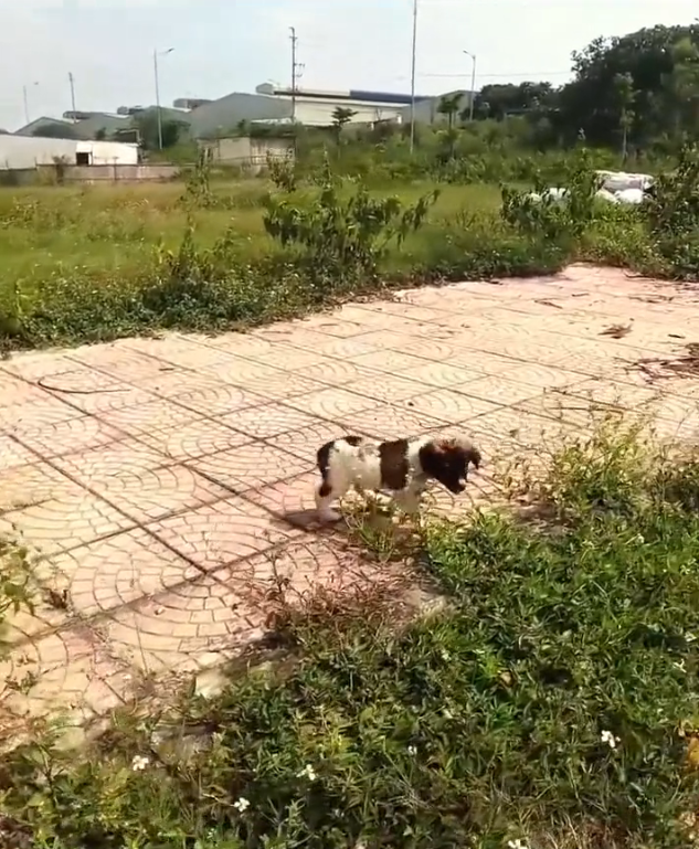 T3001087 This is what being overlooked costs