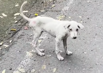 K0402126 Alone where no help ever passes