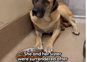 K0402120 Time was draining what strength remained