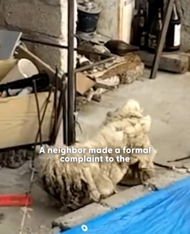 K0402119 Another quiet victim of neglect