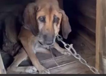 K0402111 The cold touched deeper than the surface