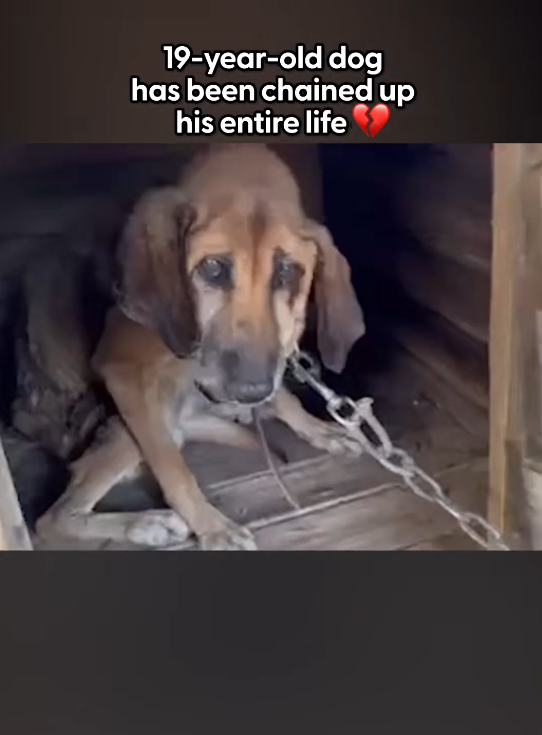 K0402111 The cold touched deeper than the surface