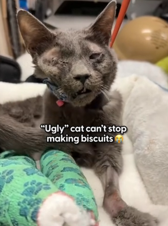 H0402142 Left to face everything alone