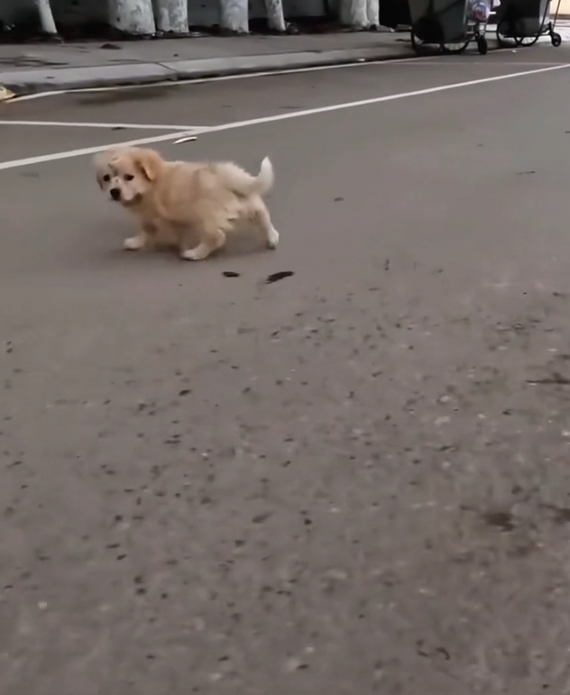 T3001084 Another soul nearly erased by delay