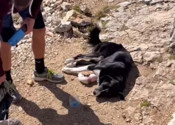 H0402096 No safe place to rest