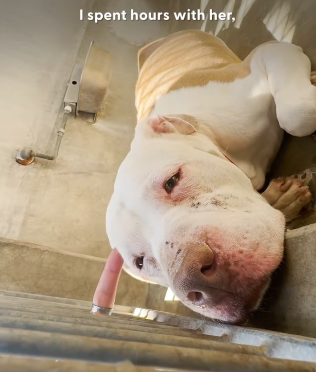 H1002011_Watch her do bunny hop around her home We