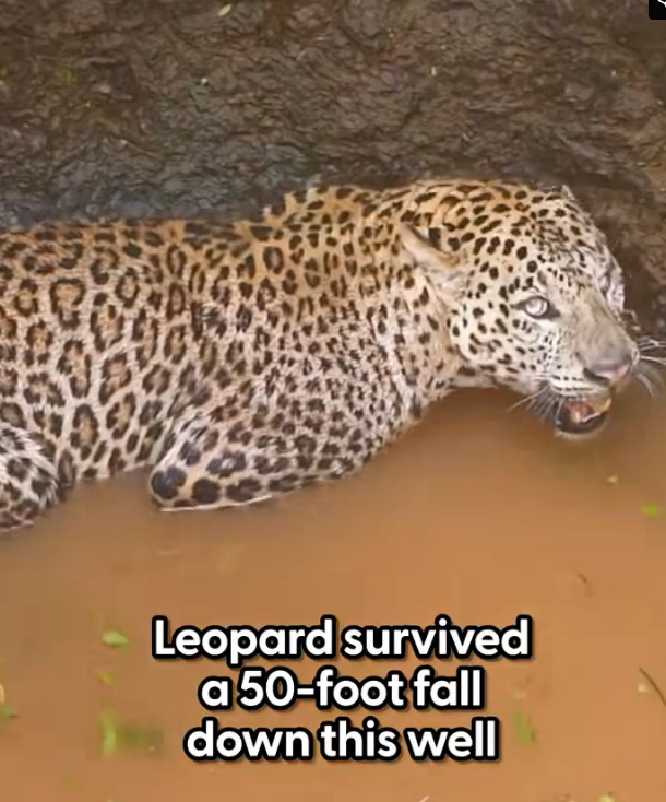 H1002016_When she realized SOS was there to rescu