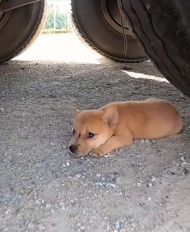 T3001079 Silence wrapped tightly around this pain