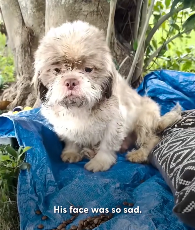 H1002028_When his rescuer gave him warm bath put on