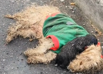 T3001063 Cold, hunger, and unanswered hours