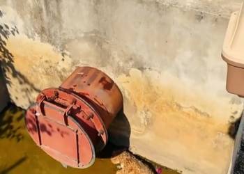 T3001059 When care is absent, suffering grows