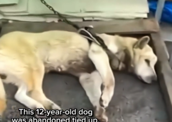 H1202005_follow evolution. #emocionante #salvandov