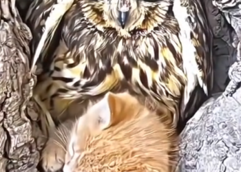 H1202006_nature is beautiful #seresdeluz #salvandovidas