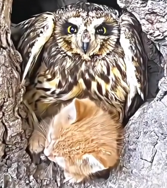 H1202006_nature is beautiful #seresdeluz #salvandovidas