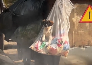 T3001057 The wait did more damage than the wound