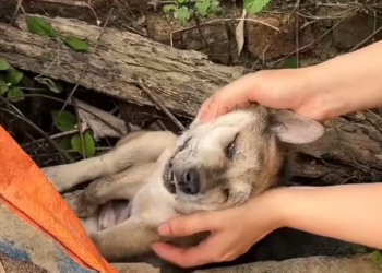 T3001042 Left exposed to everything and everyone