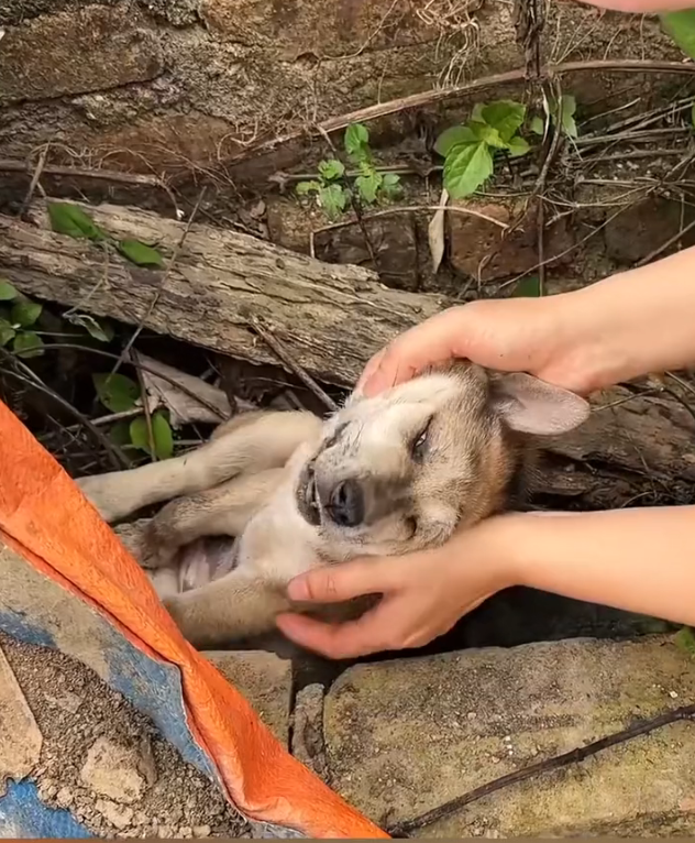 T3001042 Left exposed to everything and everyone