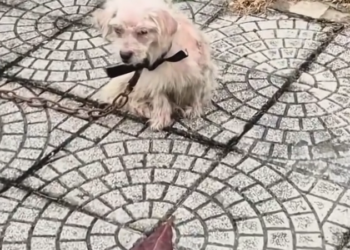 T3001040 This moment came dangerously late