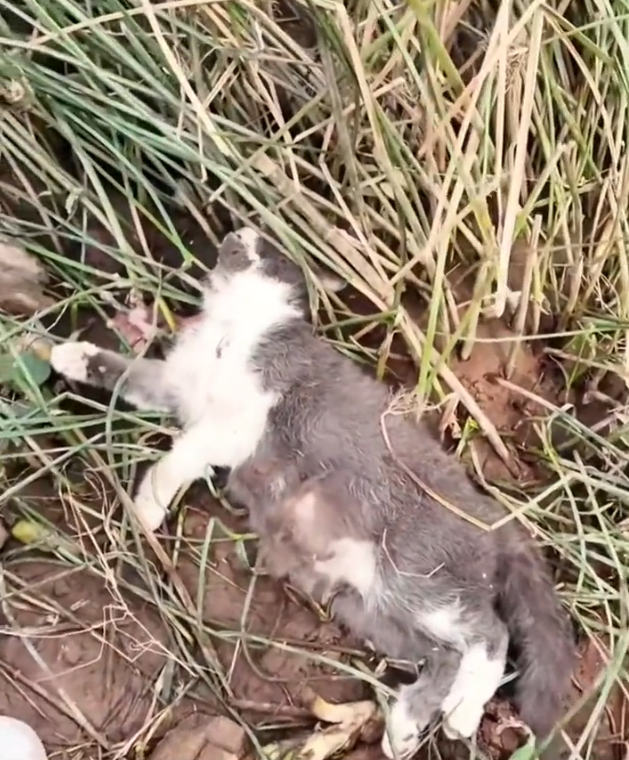 T3001038 The quiet kind of suffering hurts longer