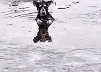 H1202036 This moment came just in time