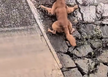 H1202048 The final hours were approaching