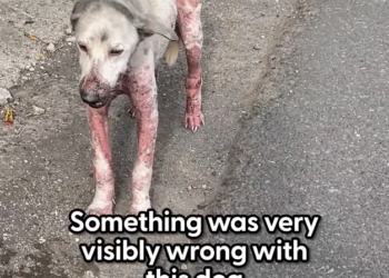 H1002034 It lay there, waiting for something to change