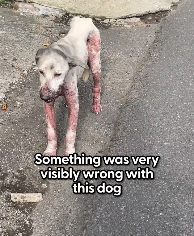 H1002034 It lay there, waiting for something to change