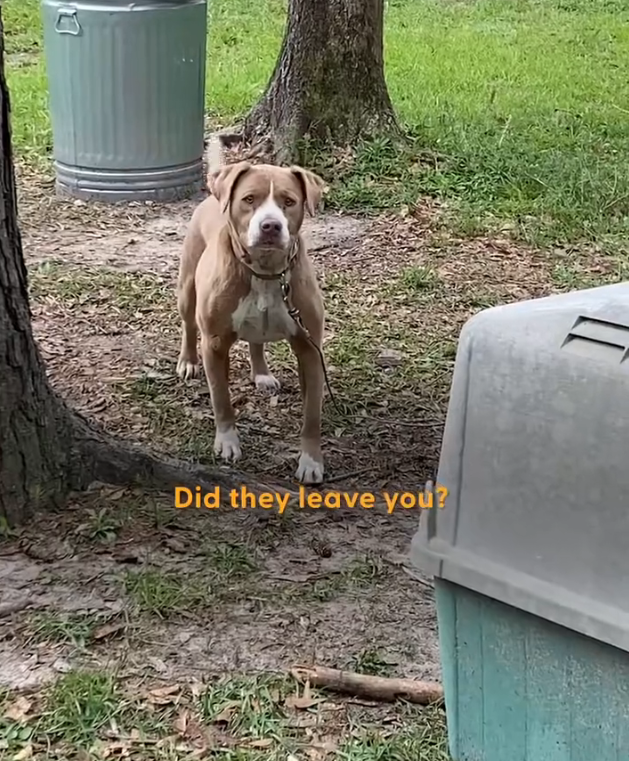 H1002035 No strength left to cry out