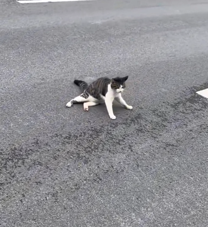 T3001013 Pain learned to settle in quietly