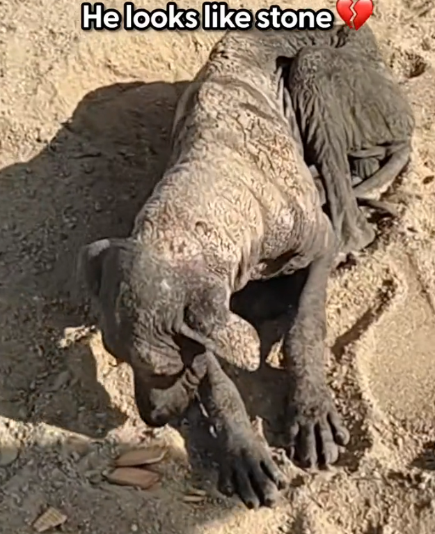 H1002036 A life nearly swallowed by silence