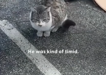 H1002037 The signs were there — just unseen