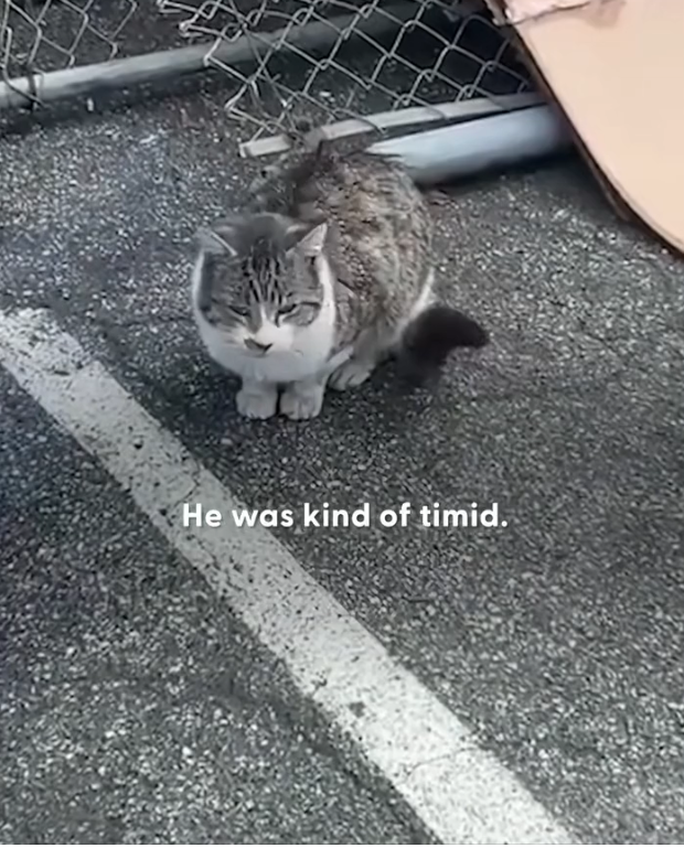 H1002037 The signs were there — just unseen