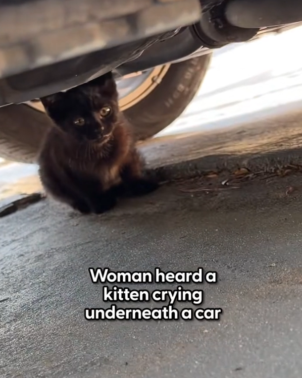 H1002042 A body trembling from more than cold