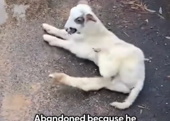 H1002043 No one knew the clock was ticking