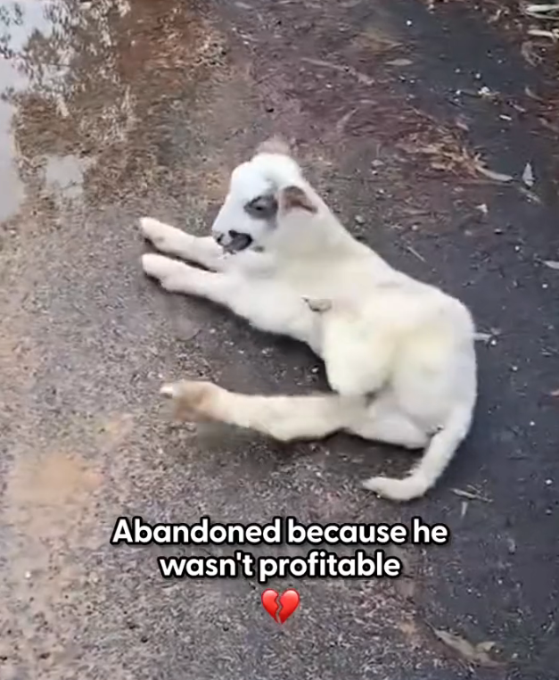 H1002043 No one knew the clock was ticking