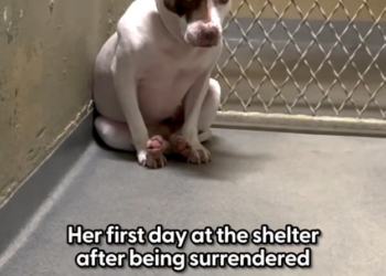 H1002045 The smallest lives fight the hardest