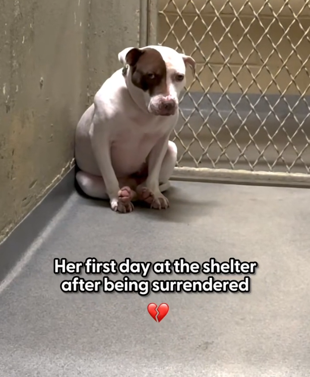 H1002045 The smallest lives fight the hardest