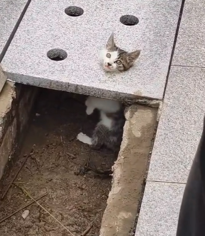 T3001012 Help was never guaranteed