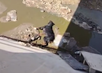 H1002046 Left in a world that didn’t slow down