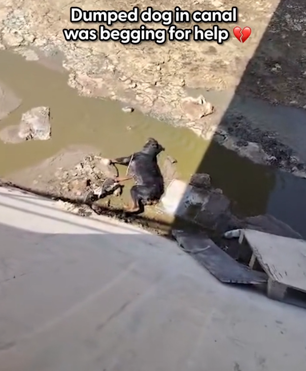 H1002046 Left in a world that didn’t slow down